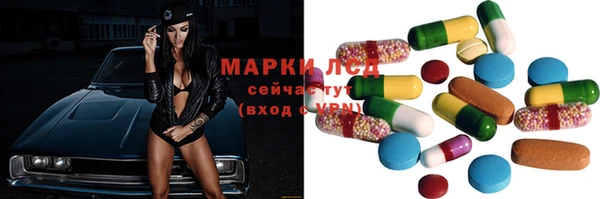 PSILOCYBIN Туринск