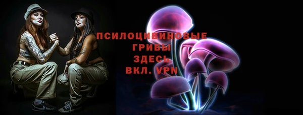 дурь Тында